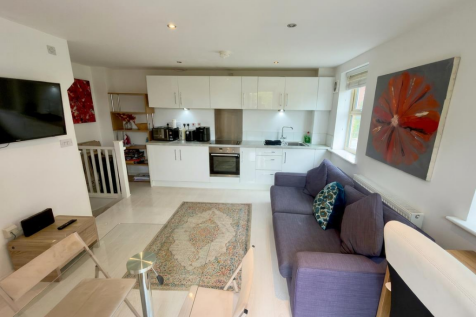 Living and Kitchen Room