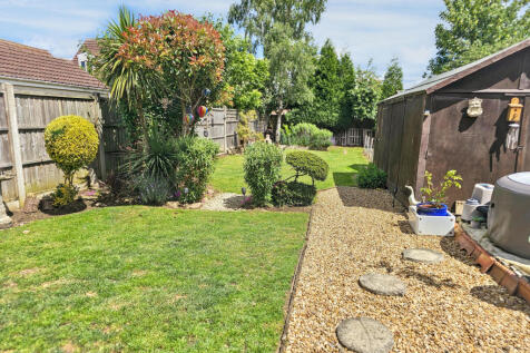 Back Garden
