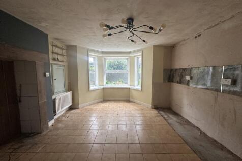 IMG 1293 T202509221629.jpg