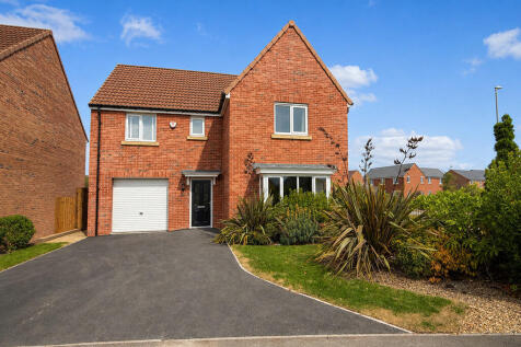 Primrose Drive