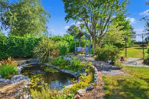 Pond