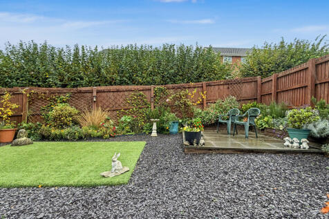 IMG_1349.jpeg