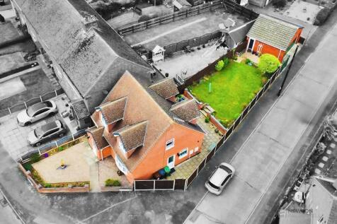 Plot View