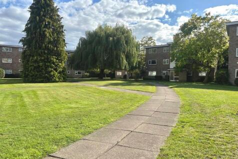 WhatsApp Image 2025-09-25 at 16.47.54_97a9968f.jpg