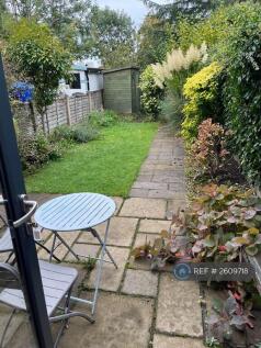Back Garden And Shed