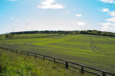 Local Area (1)