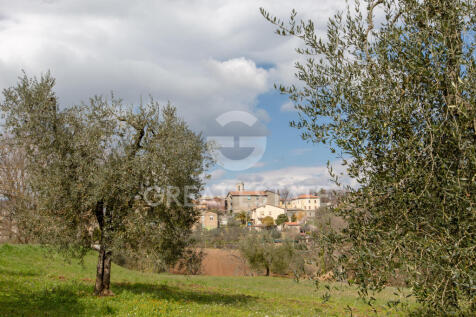 Panorama e Particolari