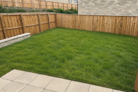 Back Garden