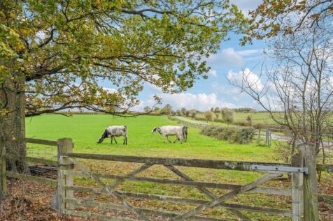 DSC06818-cfec73346c6c5b5c38f1c9e99bb7850d - 800px.