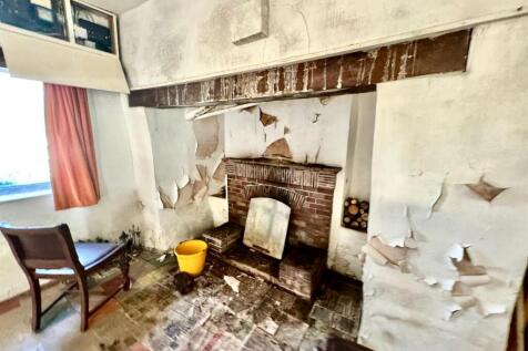 PHOTO-2025-04-08-07-21-31 (7).jpg