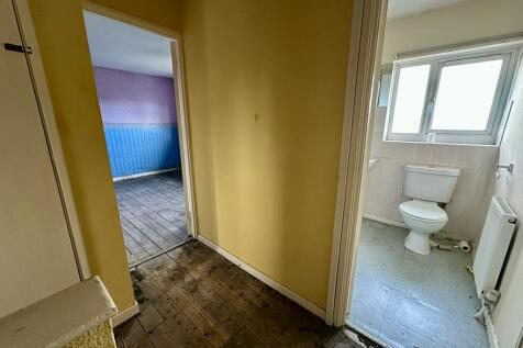 IMG 4323 T202511291223.jpeg