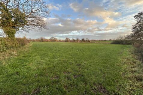 auction land 2.JPG