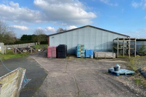 PHOTO20240306154633 20240315 17_24_25 2.jpg