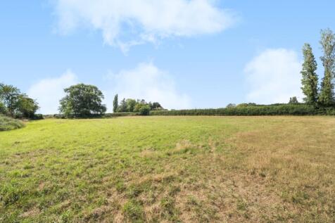 1317674-21-68638ac4ddf42-ARW