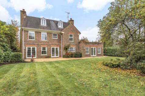 Property Image 13
