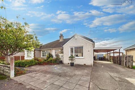 Welcome to Pedder Avenue