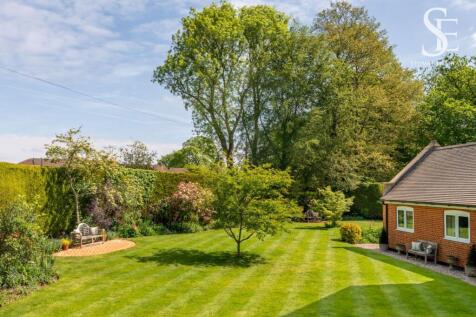The Front Garden