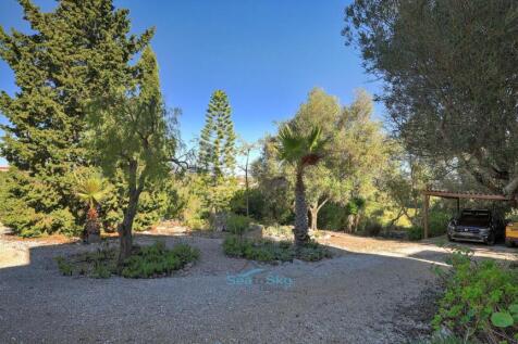 mature trees and shrubs