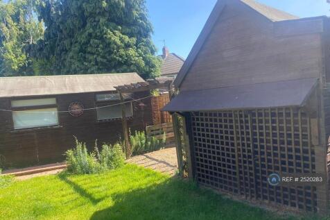 Back Garden
