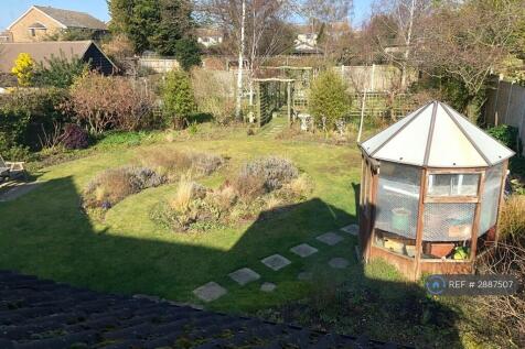 Shared Garden (Maintained)