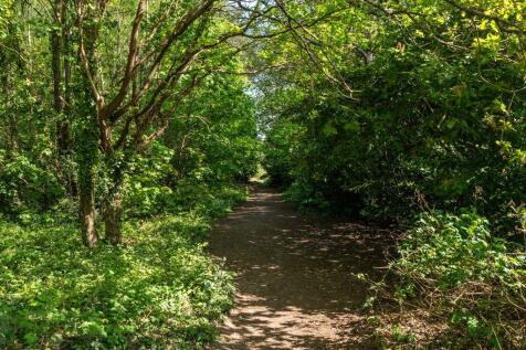 Nearby Forestry