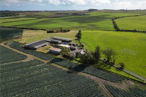 Lathones Farm