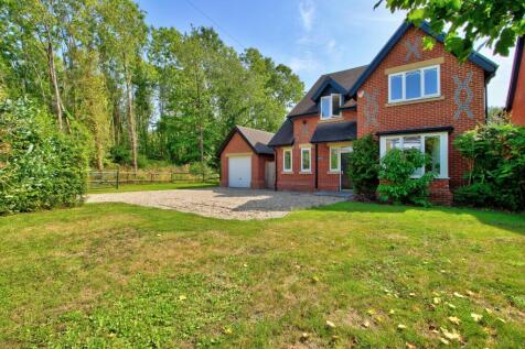 Walter-inspired architecture