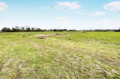 tlc_c4e34b58-1608-4e30-b423-a9e3caf5f588_90869d6.j