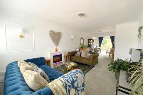 resized_IMG_4940..jpg
