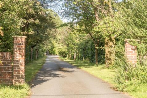 Driveway Approach