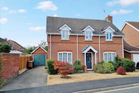 Main Picture