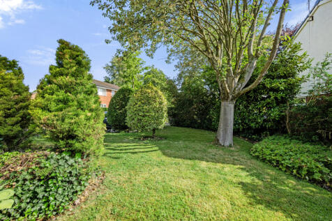 Property Image 37