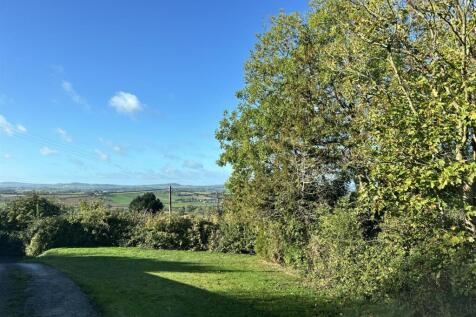 potential parking area with the whole.jpg