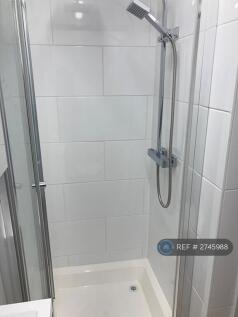 Rain Shower