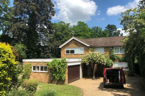 New front shot rent.