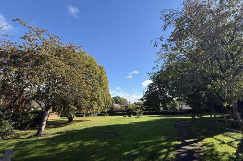 IMG_0375.jpeg