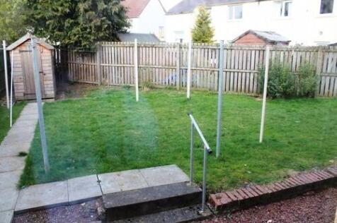 BackGarden.jpg