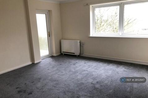 Living Room With New Carpet