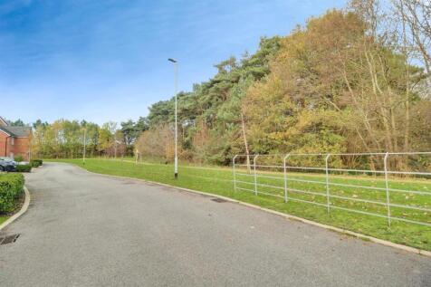 user_edited_photo-95c78f66_user-edited-18c920f3-ac