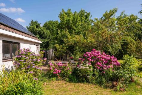 Nesdijk 25 1861 MG BERGEN (NH) image 46