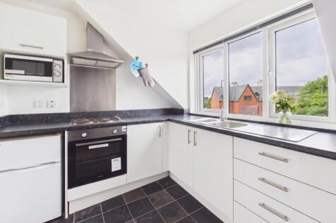 Kitchen/Living/Bedroom