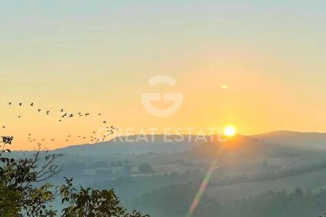 Panorama e Particolari