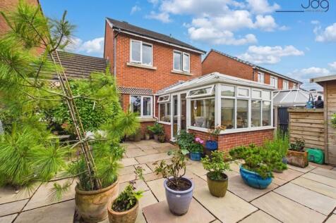 Back Garden
