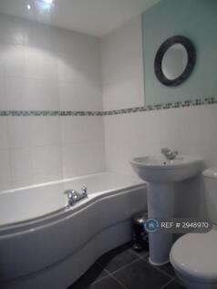 Bilberry Close, Red Lodge, Bury St. Edmunds, IP28 photo 4