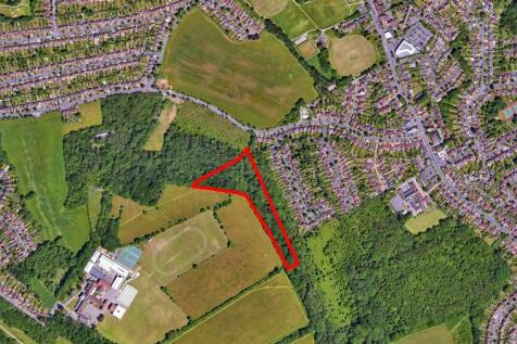 Riddlesdown Woodland