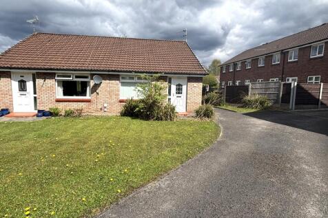IMG_1424.jpeg