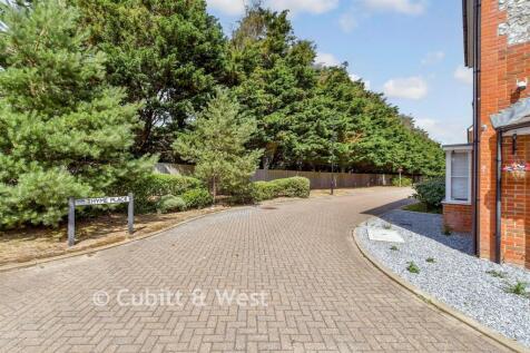 Driveway/Parking