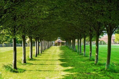 91646_Thorpe-Farm...