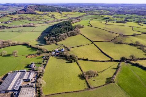 DJI_0891.jpg