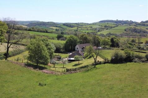 Field